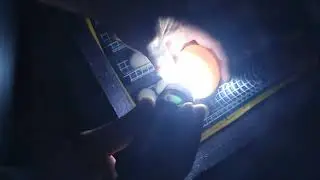 НЕВЕРОЯТНО НО ФАКТ!