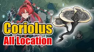 All Coriolus Locations & Farming Route with Animated Minimap Guide | Wuthering Waves