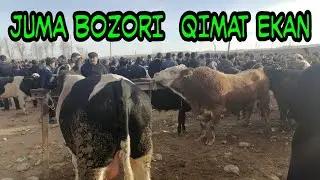 BOZOR KUTARILIP KITI