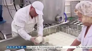 Завод по выпуску сыра 