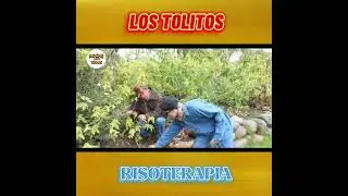 HUMOR ECUATORIANO #Tolitos #Risoterapia