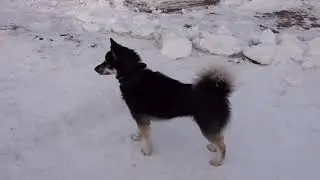 На рыбалку за окуньком.