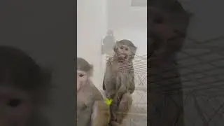 Друг в беде не бросит , лишнего не спросит😍❗️