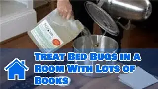 Garden & House Pests : How to Treat Bed Bugs in a Room With Lots of Books