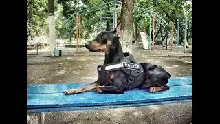 День рождения Хакера