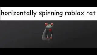 horizonally spinning roblox rat