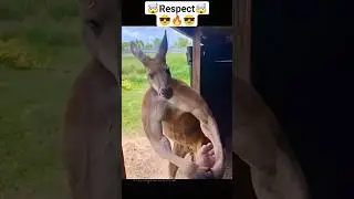 Respect 🔥😎🤯🤯 #shorts #respect