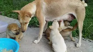 Mama dan Anak