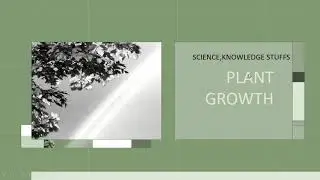 Plant Growth-Plants||Science||KNOWLEDGE STUFFS