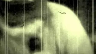 No No Song cover of Ringo Starr