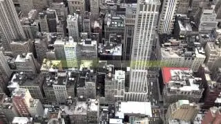 Stay by The CO -- Lyric Video