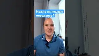 Можно ли кошкам мороженое? #кошки #ветеринар