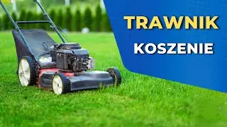 Koszenie trawnika. Kiedy i jak kosić trawnik