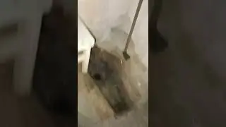 Old abandoned WC in soviet style FECES abandoned the 🪰 is very sad