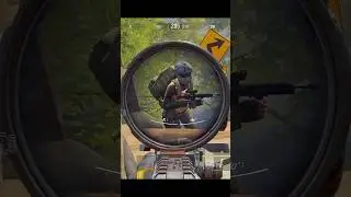 AK-102 vs T6 Thermal