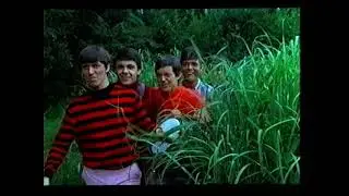 Cliff Richard and The Shadows - Washerwoman (1966)