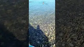 Дивноморское #геленджик #геленджик2023 #геленджикпогода #beach #море