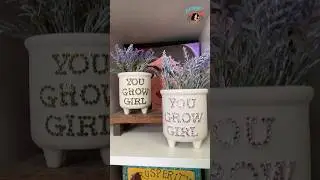 Adding crystals to a planter.