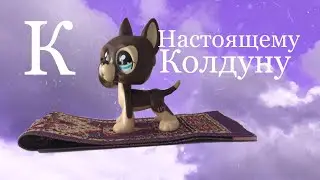 Lps клип К НАСТОЯЩЕМУ КОЛДУНУ🌂🌂