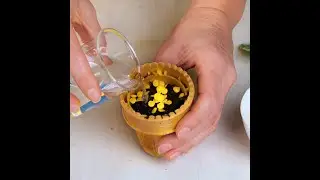 Indoor plant care hacks for plant lovers 🌿 