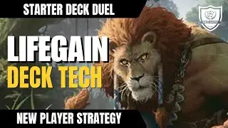 Best Free MTG Arena Deck for New Players – Lifegain WB Starter Deck Duel, Free to Play