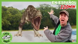T-Rex gigante persigue al Guardabosques Aaron | 🦖 T-Rex Rancho | Moonbug Kids - Parque en Vivo!