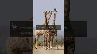 What Do You Think Of When You Hear Africa? (r/AskReddit) #shorts #stories #reddit