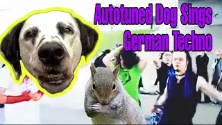 I Autotuned My Dog Screaming At A Squirrel