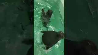 ребята прикиньте, здесь есть радио