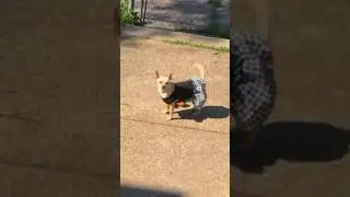 No toy gets left behind 😂😂😂