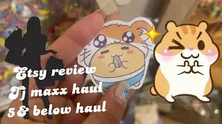 Surprise my Hamster 🐹 Hamlet with treats from Etsy  ‘Hamsters we Love’ review +tjmaxx 5 & below haul