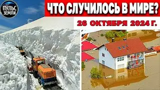Катаклизмы за день 26.10.2024! катаклизмы сегодня новости сегодня  События Дня чп новый выпуск