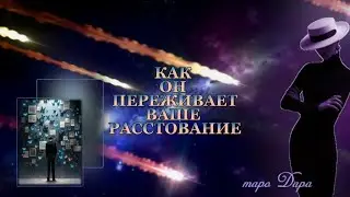 КАК ОН ПЕРЕЖИВАЕТ ВАШЕ РАССТОВАНИЕ  