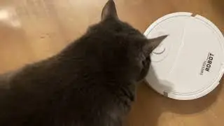 Mini robot vacuum cleaner for 5 bucks! What can it do?