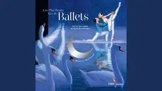 La Belle au Bois dormant, Op. 66, Acte I : No. 8c, Pas d'action. Variation d'Aurore.