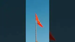 25 мая 2024 г.