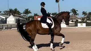 Fernando GP March 2023
