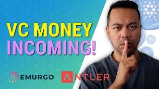 This will BOOST Cardano ADA! VC Money Incoming!!! Emurgo Antler Ibex