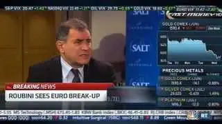 The Euro-Zone: A Slow Motion Train Wreck