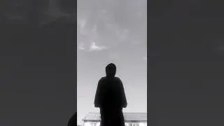 Untitled video
