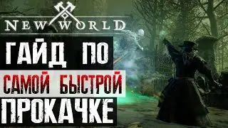 NEW WORLD - ГАЙД по ПРОКАЧКЕ | Все о вариантах прокачки | Как УСКОРИТЬ прокачку