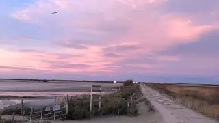 Wunderschöner Sonnenaufgang in der Camargue #shorts