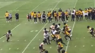 Rookie TE Darnell Washington Makes His First Big Play | Steelers Training Camp