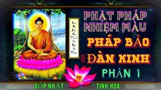 Pháp Bảo Đàn Kinh Phần 1 - Thượng Tọa Thích Giác Thông | Chánh Pháp Tu Hành Đạt Đến Đốn Ngộ