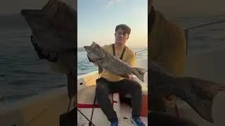 ZÜBER AVI CANLI YEM İLE BALIK AVI