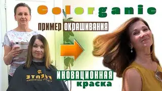 Щадящее окрашивание седых волос ПРАВИЛЬНО без последствий