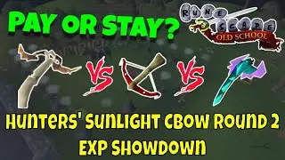Pay or Stay #52 | Hunter Sunlight vs Dragon CBow vs Toxic Blowpipe | OSRS NMZ