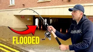I CAUGHT FISH ON THIS FLOODED STREET