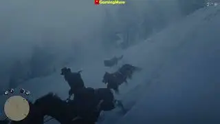 RDR2 Arthur, kill the wolves!!!  #shorts