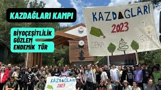 Balıkesir Kazdağları’nda Kamp Yapmak | Kamp Vlogu